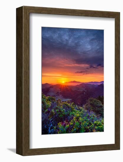 Late Spring Sunrise Magic, Mount Diablo, Lafayette, California, Oakland-Vincent James-Framed Photographic Print