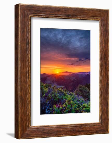 Late Spring Sunrise Magic, Mount Diablo, Lafayette, California, Oakland-Vincent James-Framed Photographic Print