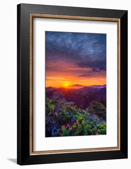 Late Spring Sunrise Magic, Mount Diablo, Lafayette, California, Oakland-Vincent James-Framed Photographic Print