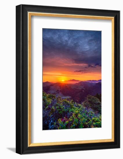 Late Spring Sunrise Magic, Mount Diablo, Lafayette, California, Oakland-Vincent James-Framed Photographic Print