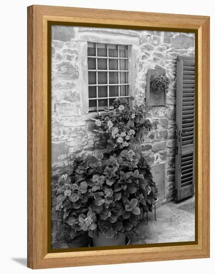 Late Summer in the Tuscan Village of Volpaia, Tuscany, Italy-Richard Duval-Framed Premier Image Canvas