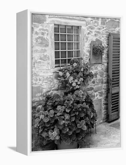 Late Summer in the Tuscan Village of Volpaia, Tuscany, Italy-Richard Duval-Framed Premier Image Canvas