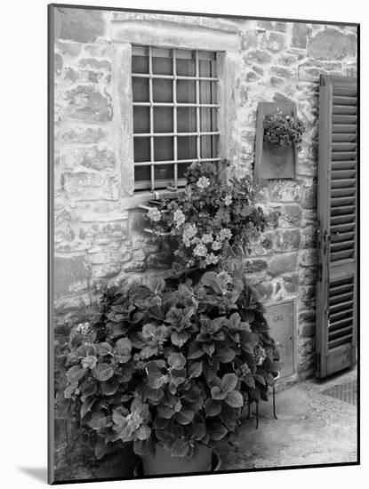 Late Summer in the Tuscan Village of Volpaia, Tuscany, Italy-Richard Duval-Mounted Photographic Print