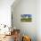 Late Summer Light-Robert Goldwitz-Photographic Print displayed on a wall