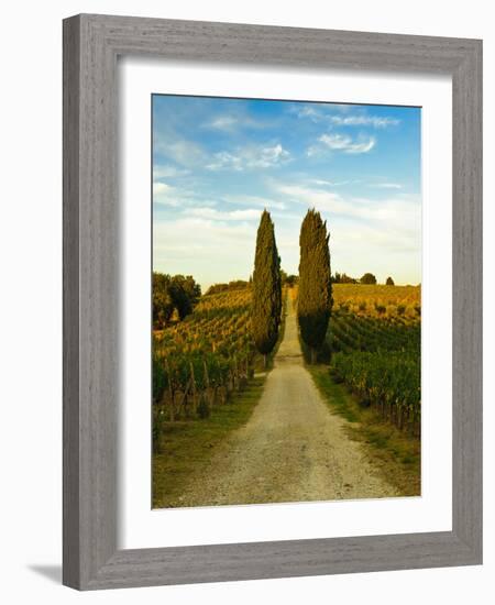 Late Summer Wine Scene in the Hills of Panzano, Tuscany, Italy-Richard Duval-Framed Photographic Print