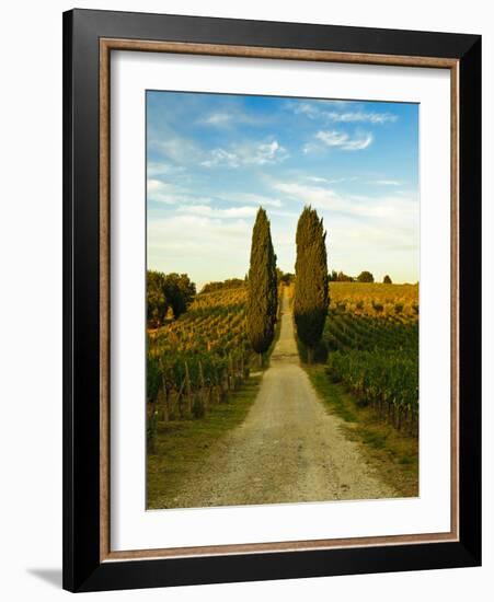 Late Summer Wine Scene in the Hills of Panzano, Tuscany, Italy-Richard Duval-Framed Photographic Print