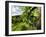 Late Summer Wine Scenes from Tuscany, Italy-Richard Duval-Framed Photographic Print