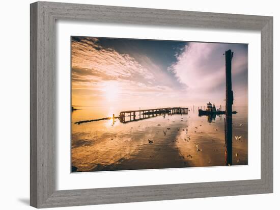 Late Sun, Birds and Polaris, San Pablo Bay-null-Framed Photographic Print