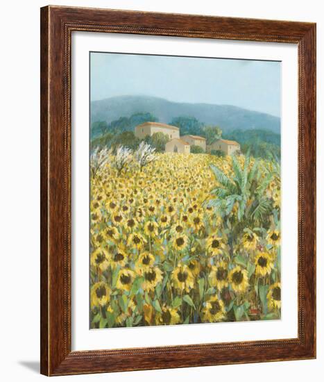 Late Sunflowers Near Santa Lucia, Tuscany-Hazel Barker-Framed Giclee Print