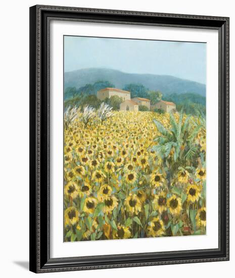 Late Sunflowers Near Santa Lucia, Tuscany-Hazel Barker-Framed Giclee Print