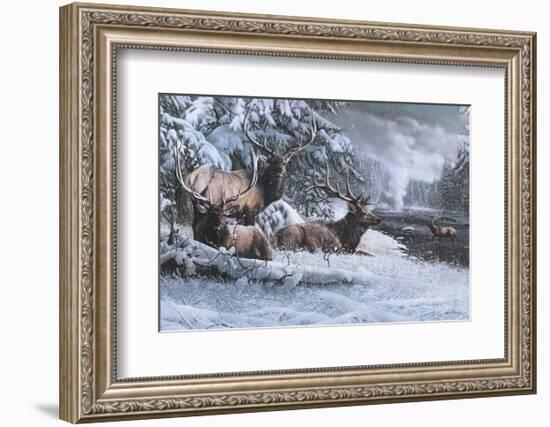 Late Winter Gathering-Kevin Daniel-Framed Art Print