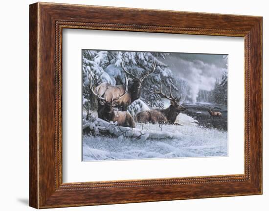 Late Winter Gathering-Kevin Daniel-Framed Art Print