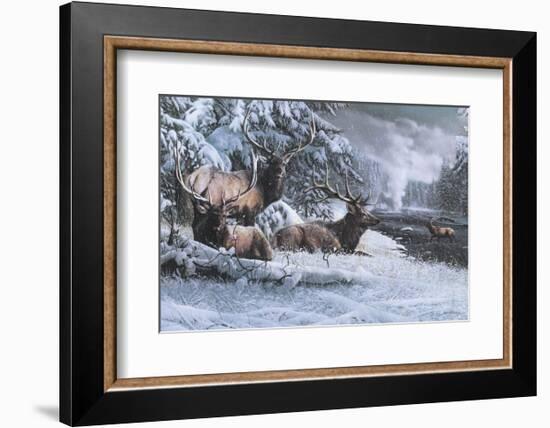 Late Winter Gathering-Kevin Daniel-Framed Art Print