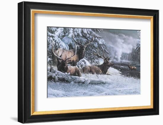 Late Winter Gathering-Kevin Daniel-Framed Art Print