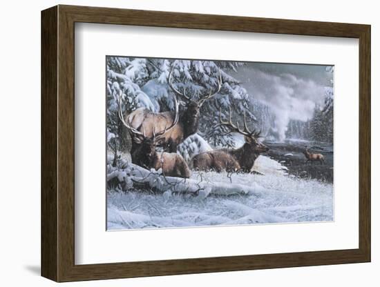 Late Winter Gathering-Kevin Daniel-Framed Art Print