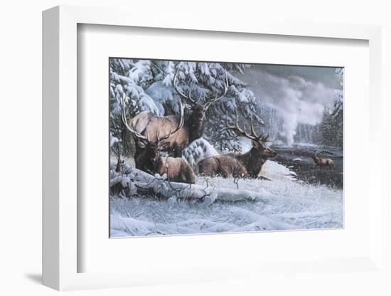 Late Winter Gathering-Kevin Daniel-Framed Art Print