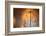 Late-Heidi Westum-Framed Photographic Print