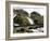 Latefossen Waterfall Near Odda, Hordaland, Norway, Scandinavia, Europe-Hans Peter Merten-Framed Photographic Print