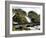 Latefossen Waterfall Near Odda, Hordaland, Norway, Scandinavia, Europe-Hans Peter Merten-Framed Photographic Print