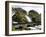 Latefossen Waterfall Near Odda, Hordaland, Norway, Scandinavia, Europe-Hans Peter Merten-Framed Photographic Print