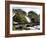 Latefossen Waterfall Near Odda, Hordaland, Norway, Scandinavia, Europe-Hans Peter Merten-Framed Photographic Print