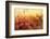 Lathmar Holi-Francesco Vaninetti-Framed Photographic Print