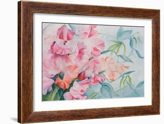 Lathyrus Odoratus, Sweet Pea-Karen Armitage-Framed Giclee Print