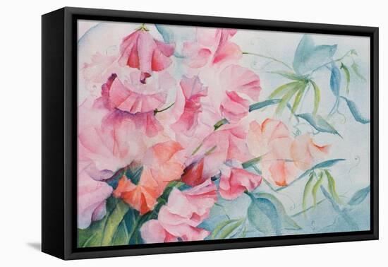 Lathyrus Odoratus, Sweet Pea-Karen Armitage-Framed Premier Image Canvas