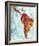 Latin America Map-Paul Duncan-Framed Giclee Print