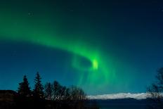 Strong Curled Green Aurora-Latitude 59 LLP-Photographic Print