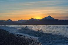 Surfer in Waves at Sunrise-Latitude 59 LLP-Photographic Print