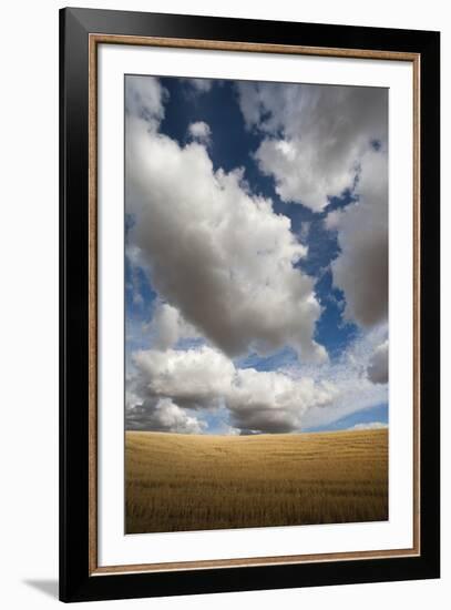 Latitude-Andrew Geiger-Framed Giclee Print