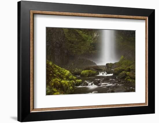 Latourell Falls and Creek, Guy S. Talbot Sp, Columbia Gorge, Oregon-Michel Hersen-Framed Photographic Print