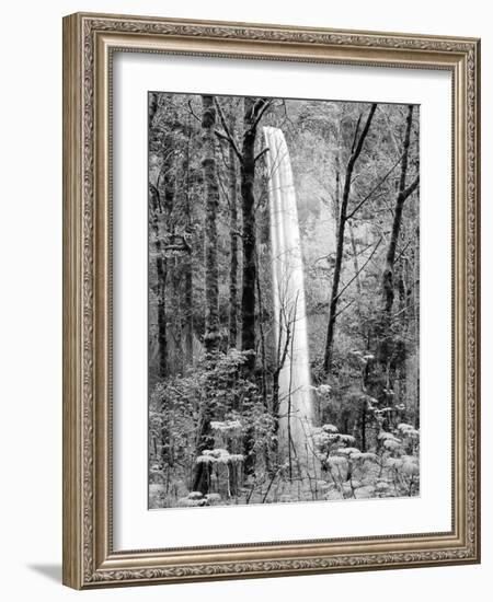 Latourell Falls, Columbia River Gorge National Scenic Area, Oregon, USA-Charles Crust-Framed Photographic Print