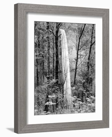 Latourell Falls, Columbia River Gorge National Scenic Area, Oregon, USA-Charles Crust-Framed Photographic Print