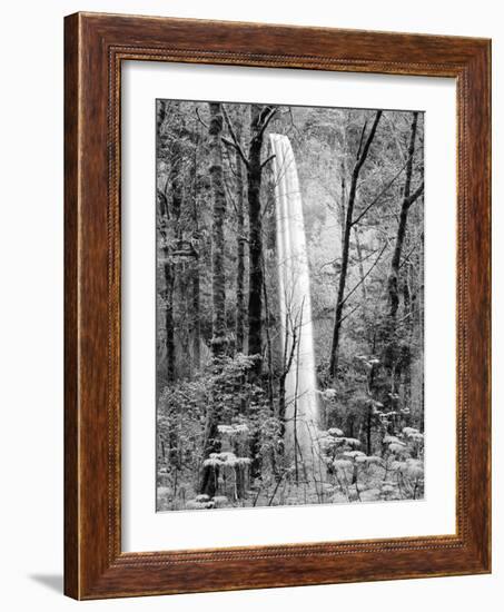 Latourell Falls, Columbia River Gorge National Scenic Area, Oregon, USA-Charles Crust-Framed Photographic Print