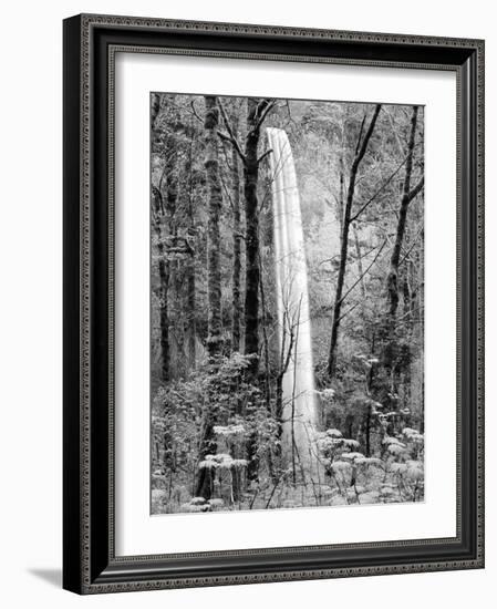 Latourell Falls, Columbia River Gorge National Scenic Area, Oregon, USA-Charles Crust-Framed Photographic Print