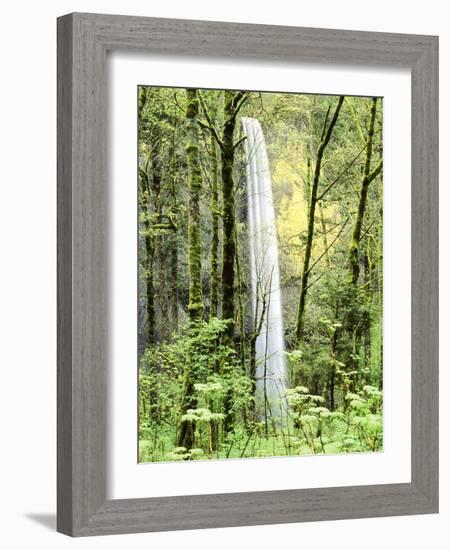 Latourell Falls, Columbia River Gorge National Scenic Area, Oregon, USA-Charles Crust-Framed Photographic Print