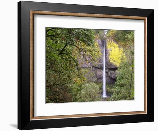 Latourell Falls. Columbia River Gorge, Oregon, USA.-Tom Norring-Framed Photographic Print