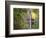 Latourell Falls. Columbia River Gorge, Oregon, USA.-Tom Norring-Framed Photographic Print