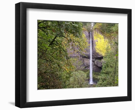 Latourell Falls. Columbia River Gorge, Oregon, USA.-Tom Norring-Framed Photographic Print