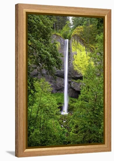 Latourell Falls, in Columbia River Gorge National Scenic Area, Oregon-Craig Tuttle-Framed Premier Image Canvas