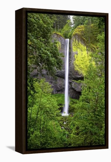 Latourell Falls, in Columbia River Gorge National Scenic Area, Oregon-Craig Tuttle-Framed Premier Image Canvas