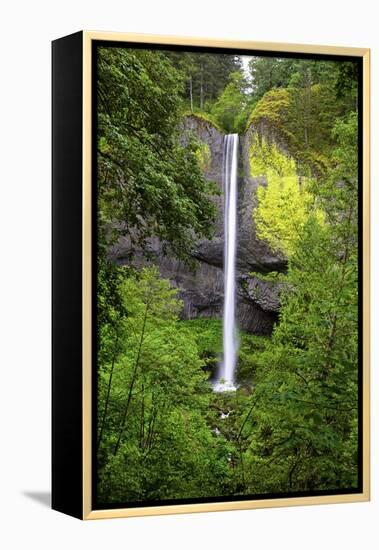 Latourell Falls, in Columbia River Gorge National Scenic Area, Oregon-Craig Tuttle-Framed Premier Image Canvas