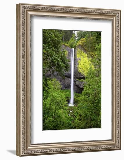 Latourell Falls, in Columbia River Gorge National Scenic Area, Oregon-Craig Tuttle-Framed Photographic Print