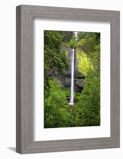 Latourell Falls, in Columbia River Gorge National Scenic Area, Oregon-Craig Tuttle-Framed Photographic Print