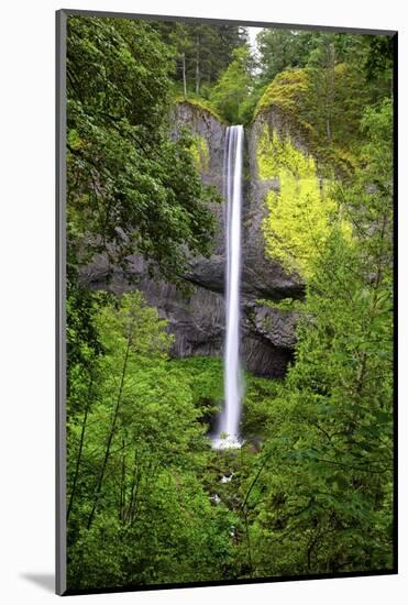 Latourell Falls, in Columbia River Gorge National Scenic Area, Oregon-Craig Tuttle-Mounted Photographic Print