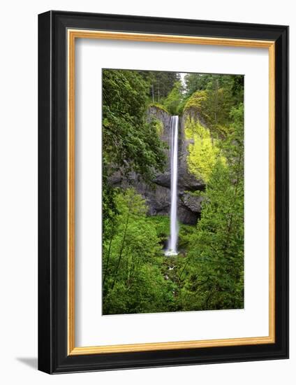 Latourell Falls, in Columbia River Gorge National Scenic Area, Oregon-Craig Tuttle-Framed Photographic Print