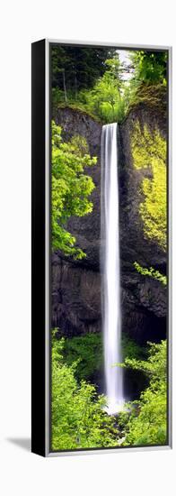 Latourell Falls-Douglas Taylor-Framed Stretched Canvas