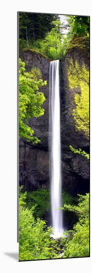 Latourell Falls-Douglas Taylor-Mounted Art Print